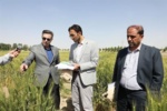 ضرورت تقویت نیروی انسانی به منظور افزایش اثربخشی دستاورد ها در بخش تحقیقات کشاورزی