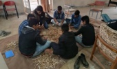 برداشت ۱۵۰ کیلوگرم لوبیا در هنرستان کشاورزی خوزستان؛ دستاورد آموزش همراه با تولید