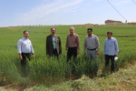 بکارگیری دانش فنی ، پایداری تولید در شرایط تغییر اقلیم