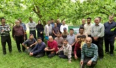 روز مزرعه فندق