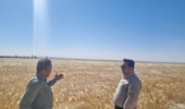 بازدید تخصصی مدیران مرکز از گرمسار و آرادان با محور ارتقای بهره‌وری، توسعه زیرساخت‌ها و تقویت رویکردهای فناورانه
