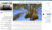 آرایش خوشه‌ها؛ گامی کلیدی برای بهبود کیفیت و کمیت خرما