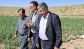 الگوسازی مرکز تحقیقات اصفهان؛ گامی مؤثر در توسعه کشاورزی دانش‌بنیان