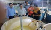 ارزیابی ظرفیت‌های تحقیقاتی چابهار برای توسعه تنوع‌بخشی به گونه‌های آبزی