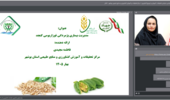 برگزاری وبینارآموزشی-ترویجی مدیریت بیماری پژمردگی فوزاریومی کنجد