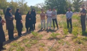 روز مزرعه گیاه دارویی وشق در مرکز تحقیقات و آموزش کشاورزی استان سمنان (شاهرود) برگزار شد