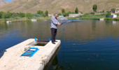 پروژه بررسی تأثیر مکانیزاسیون در مزارع پرورش ماهی قزل‌آلا