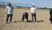 اجرای طرحهای تحقیقاتی تعیین ارزش زراعی گیاهان (VCU) با هدف شناسایی و معرفی و ثبت ارقام برتر