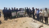 ضرورت جایگزینی کشت بهاره با پاییزه و مکانیزاسیون در نخود دیم؛ برگزاری کارگاه ترویجی انتقال یافتهها در الیگودرز