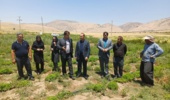 بازدید مدیرکل آموزش فنی و حرفهای استان ایلام از ایستگاه تحقیقات کشاورزی و منابع طبیعی چرداول
