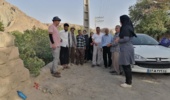 پیشگیری؛ نخستین گام برای مهار مگس میوه مدیترانه‌ای در باغ‌های گلباف