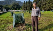 بررسی مهمترین دلایل ریزش میوه آووکادو و ارائه راهکارهای علمی و کاربردی