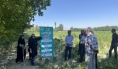 برگزاری کارگاه انتقال یافته‌های مدیریت آفات و بیماری‌های ذرت در سلماس