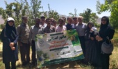 مانور استانی مبارزه با مگس میوه مدیترانه‌ای در بخش مرکزی کرمان برگزار شد