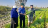 بازدید میدانی رئیس مرکز تحقیقات خوزستان از ایستگاه شاوور؛ تأکید بر ارتقای پژوهش‌های کاربردی و مدیریت بهینه آب