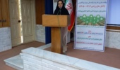 پر کردن شکاف ۴۰ تا ۵۰ درصدی عملکرد مزارع با رویکرد «دانش‌بنیان» / تأکید بر هم‌افزایی ارکان ترویج برای جهش تولید