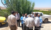 تأکید بر مدیریت جامع آفات، بهداشت باغ و تغذیه تلفیقی برای افزایش کیفیت محصول