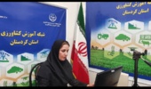 برگزاری برنامه آموزشی «ارتقای بهره‌وری در زراعت کلزا» در شبکه آموزش کشاورزی کردستان