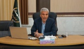طهماسبی: آینده زنبورداری نیازمند نگاه جامع به چالش‌ها و فرصت‌هاست