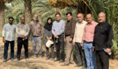 بازدید معاون برنامه‌ریزی و پشتیبانی مؤسسه تحقیقات علوم باغبانی از کلکسیون و نخلستان پژوهشکده خرما