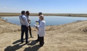 ظرفیت تولید انبوه آرتمیا اورمیانا در مجتمع فسندوز بررسی شد