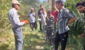 آموزش عملی مقابله با نماتد مرکبات در فهرج