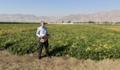 برگزاری رویداد ملی «روز انتقال یافته‌های تحقیقاتی» در لرستان / از معرفی ارقام پرپتانسیل لوبیا تا پیاده‌سازی الگوی کشت مکانیزه با آبیاری تیپ