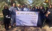 برگزاری دوره مهارتی «مدیریت برداشت و بسته‌بندی اصولی خرما» در پژوهشکده خرما و میوه‌های گرمسیری