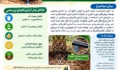 آبیاری قطره‌ای زیرسطحی در نخلستان