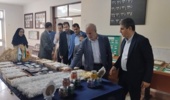 ظرفیت‌های راهبردی مرکز تحقیقات ابریشم کشور روی میز نماینده مجلس