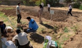کارگاه آموزشی پرورش زعفران با هدف توسعه آموزشهای مهارتی و انتقال دانش کاربردی کشاورزی، با حضور فراگیران و دانشآموزان در پردیس آموزش کشاورزی سقز برگزار شد.