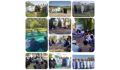 نقش‌آفرینی مدیران و محققان مرکز تحقیقات بلوچستان در یازدهمین کاروان ترویج بهره‌وری ویژه الگوی کشت ملی
