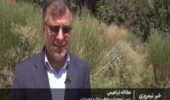 مصاحبه تلویزیونی رئیس پژوهشکده حفاظت خاک و آبخیزداری با شبکه خبر؛ ذخیره‌سازی ۷۳ میلیون مترمکعب آب در ۳۷ ایستگاه آبخوان‌داری کشور طی سال آبی ۱۴۰۴–۱۴۰۵