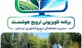 نسخه علمی برای جهش تولید در مزارع دیم؛ توصیه‌های فنی محقق ارشد غلات دیم مرکز تحقیقات کشاورزی لرستان برای ارتقای عملکرد گندم