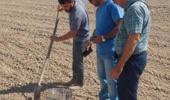ارزیابی فنی دیسکِ ساخت خوزستان در مزارع شوشتر