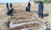 مزرعه‌ی علم و عمل در الیگودرز؛ کشت عملی موسیر توسط دانش‌آموزان هنرستان خدیجه کبری (س) در پردیس تحقیقات و آموزش کشاورزی شهید زارع