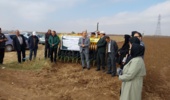 عملیات کاشت مزرعه الگویی گندم آبی در روستای نیار اردبیل اجرا شد