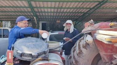 مدیریت تغذیه‌ای، راهکار کاهش پوسیدگی و ترک‌خوردگی خرما