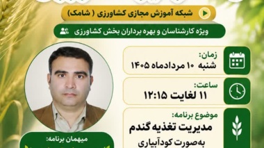 «مدیریت هوشمند تغذیه گندم به روش کودآبیاری» در استودیو کشاورزِ مرکز تات لرستان بررسی شد