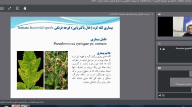 برگزاری وبینار آموزشی با عنوان مدیریت تلفیقی بیماری های خیار و گوجه فرنگی گلخانه ای