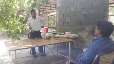 برگزاری کارگاه آموزشی مدیریت باغات گردو در شهرستان آستانه شازند