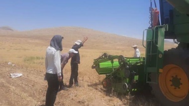 ارزیابی موفق هد برداشت هوشمند حبوبات در مزارع بوکان