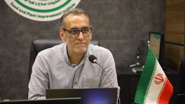 برگزاری دوره آموزشی تخصصی تولید گوجه فرنگی در فضای باز در موسسه تحقیقات اصلاح و تهیه نهال و بذر