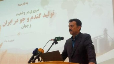 ضرورت تفکیک اراضی و بازنگری در الگوی مدیریت گندم آبی بر اساس دسترسی به آب/کیفیت مطلوب بیش از ۸۵ درصد گندم کشور