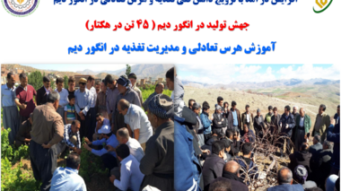 تحول در تولید انگور دیم کردستان با به‌کارگیری یافته‌های تحقیقاتی