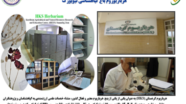 تنوع گیاهی کردستان؛ ظرفیتی راهبردی برای امنیت غذایی آینده