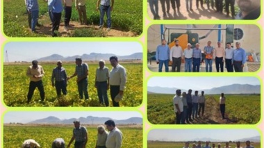 بررسی ظرفیت‌های تحقیقاتی و تولید بذر لوبیا در شهرستان خمین-استان مرکزی