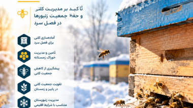 تأکید بر مدیریت کلنی و حفظ جمعیت زنبورها در فصل سرد