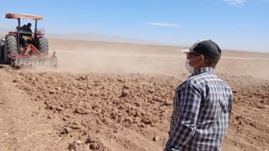 عملیات آماده سازی زمین و پایش جمعیت علف‌های هرز مزرعه گندم دیم در روستای نجف‌آباد آشتیان