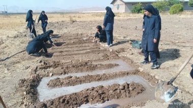 مزرعه‌ی علم و عمل در الیگودرز؛ کشت عملی موسیر توسط دانش‌آموزان هنرستان خدیجه کبری (س) در پردیس تحقیقات و آموزش کشاورزی شهید زارع